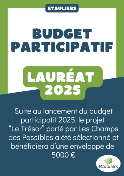 Budget Participatif.png